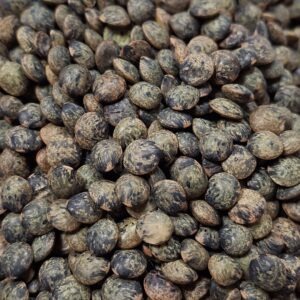 Lentilles vertes Perles d'Anjou - vrac - Sacs de 5kg