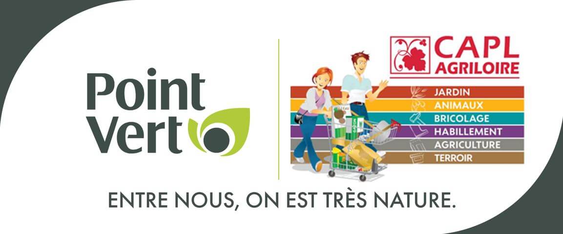 logo point vert